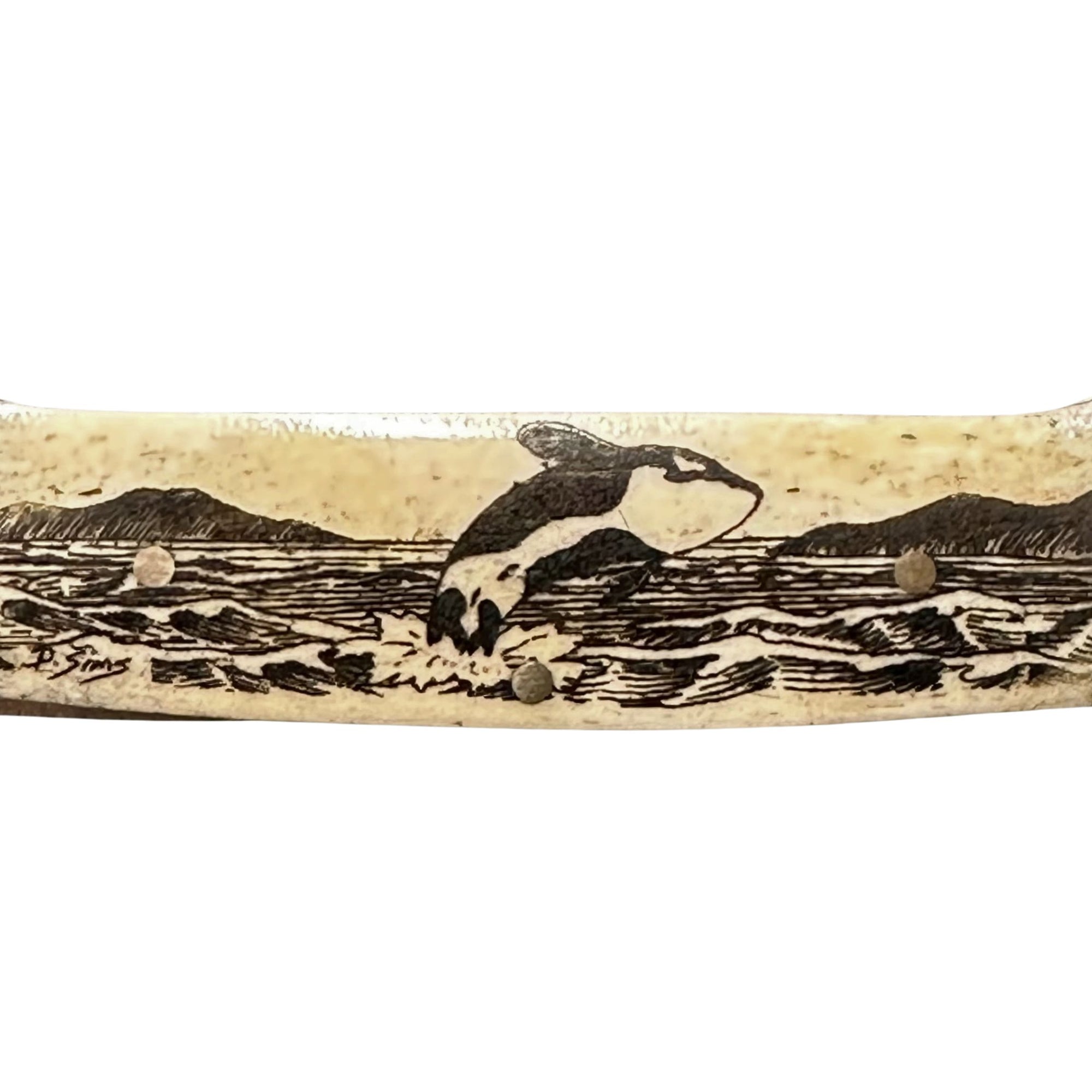 Lock Back Scrimshaw Knife 3.75 inches