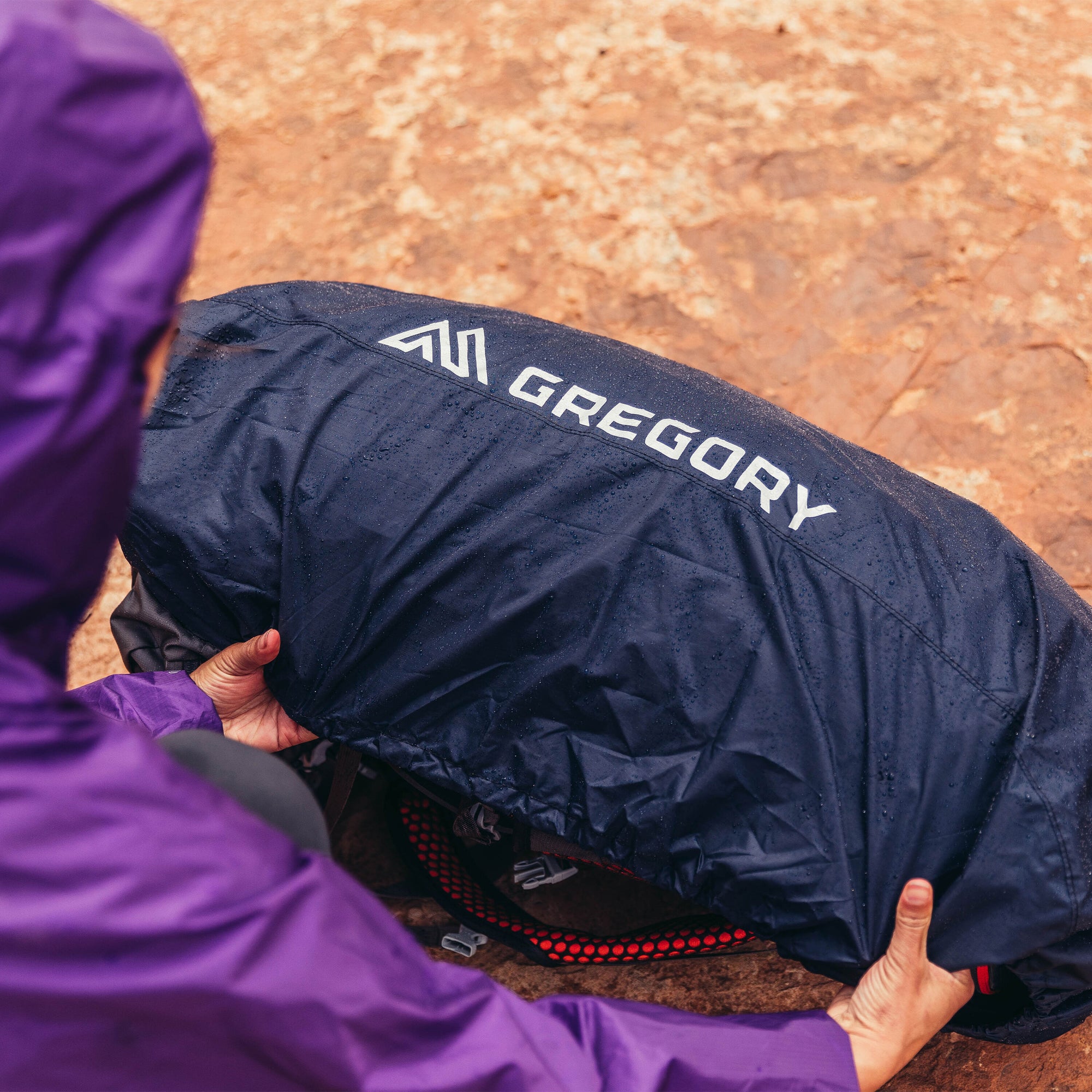 Gregory Raincover