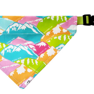 Pet Bandana - XS