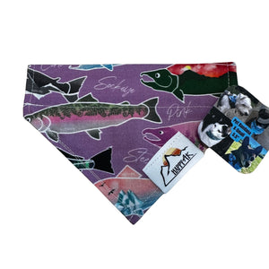 Pet Bandana - S