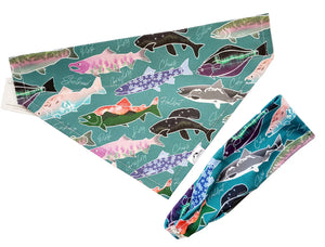 Pet Bandana - XS