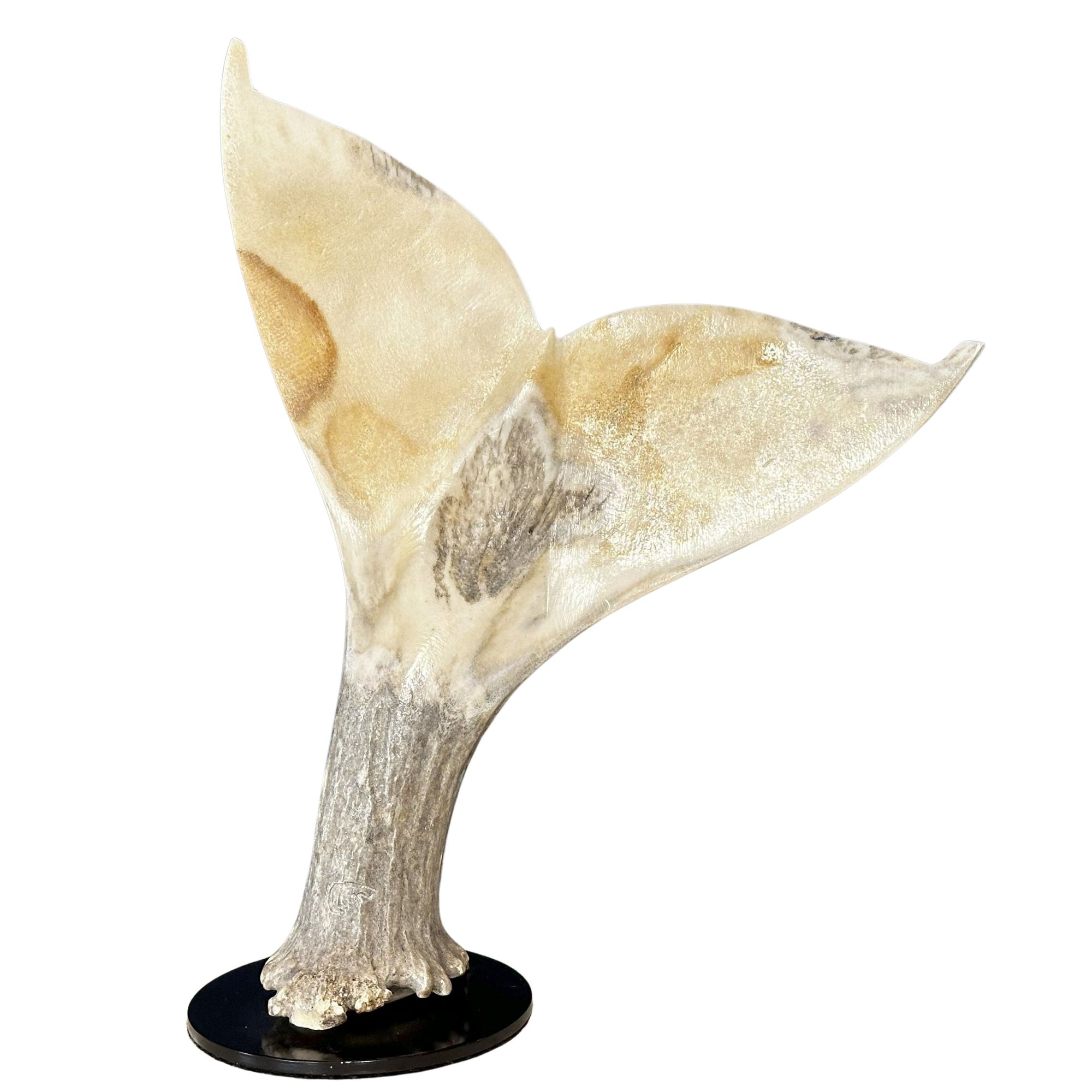 Moose Antler Whale Tail Carving