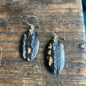 Oval Spike Mammoth Tooth Earrings