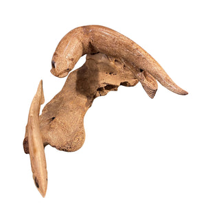 Walrus Jawbone Otter Figurine