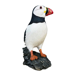 Atlantic Puffin