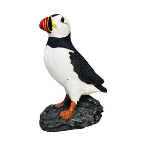 Atlantic Puffin