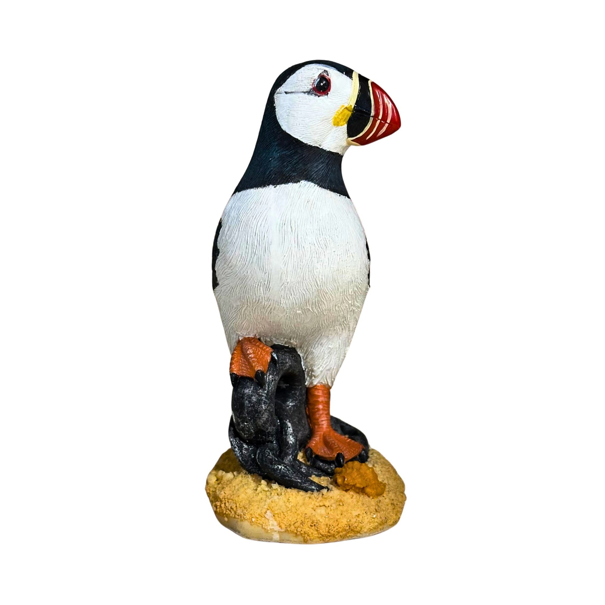 Atlantic Puffin on an Anchor