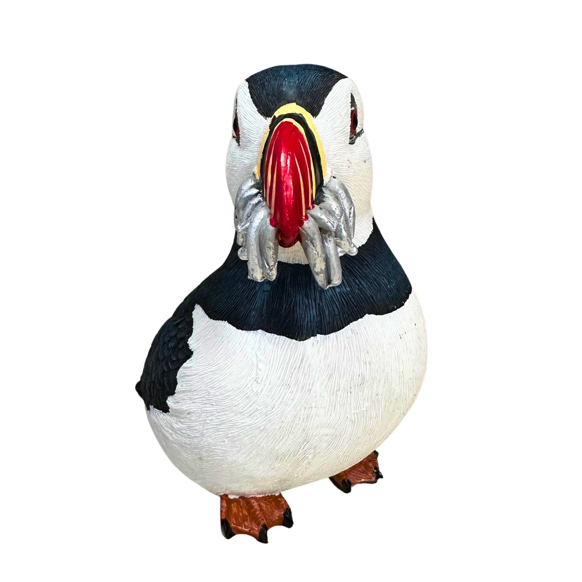 Atlantic Puffin with Herring