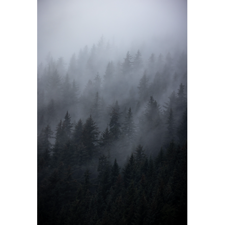 Misty Mountains Below Metal Print