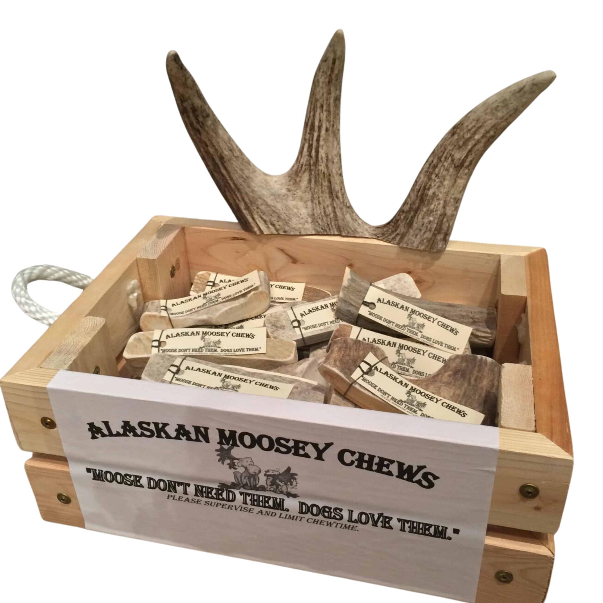 Moose Antler Dog Chews