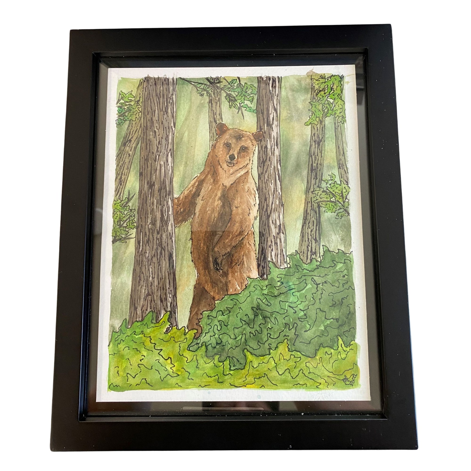 Grizzly Forest Framed Original 8x10