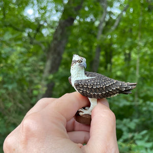 Osprey Figurine