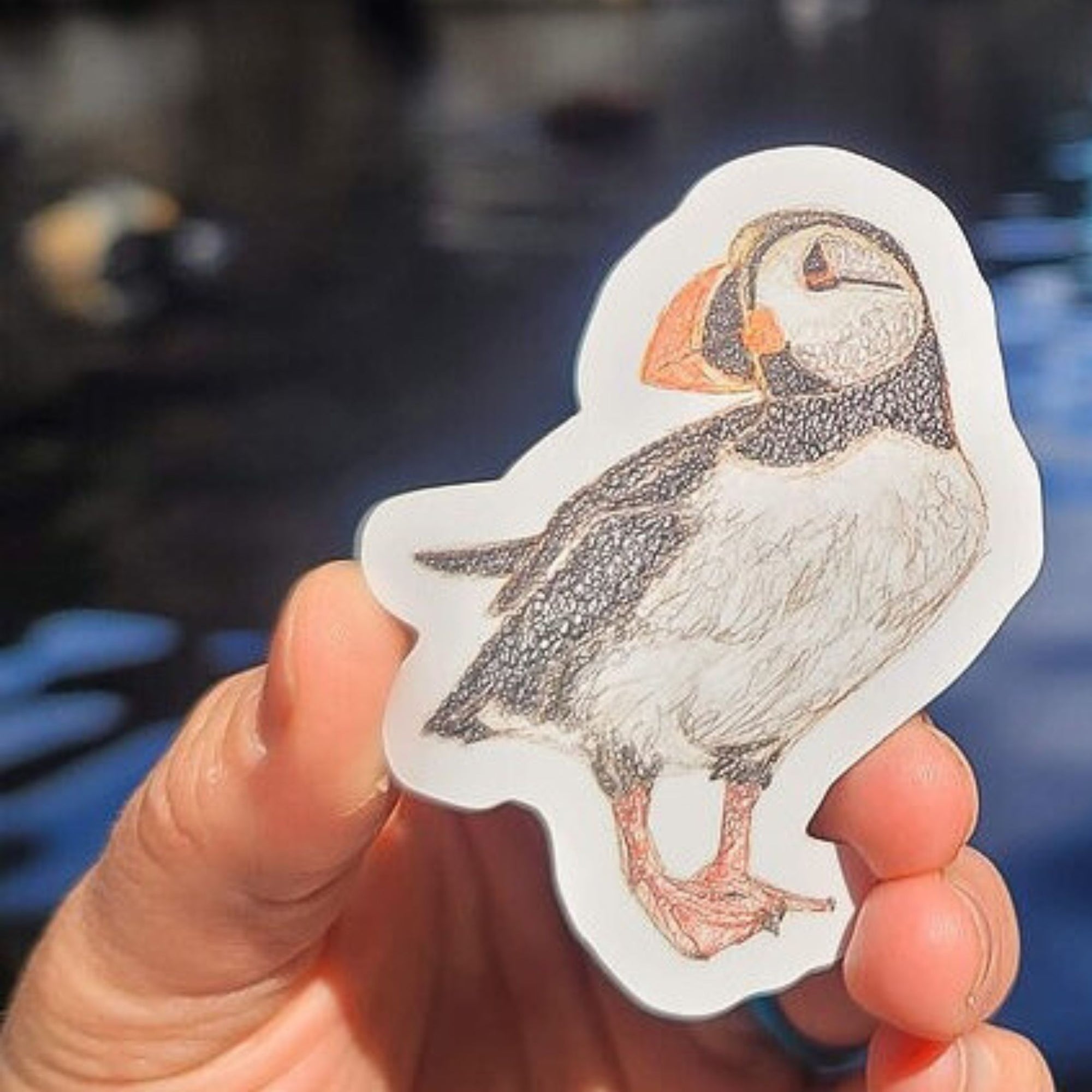 Puffin Sticker