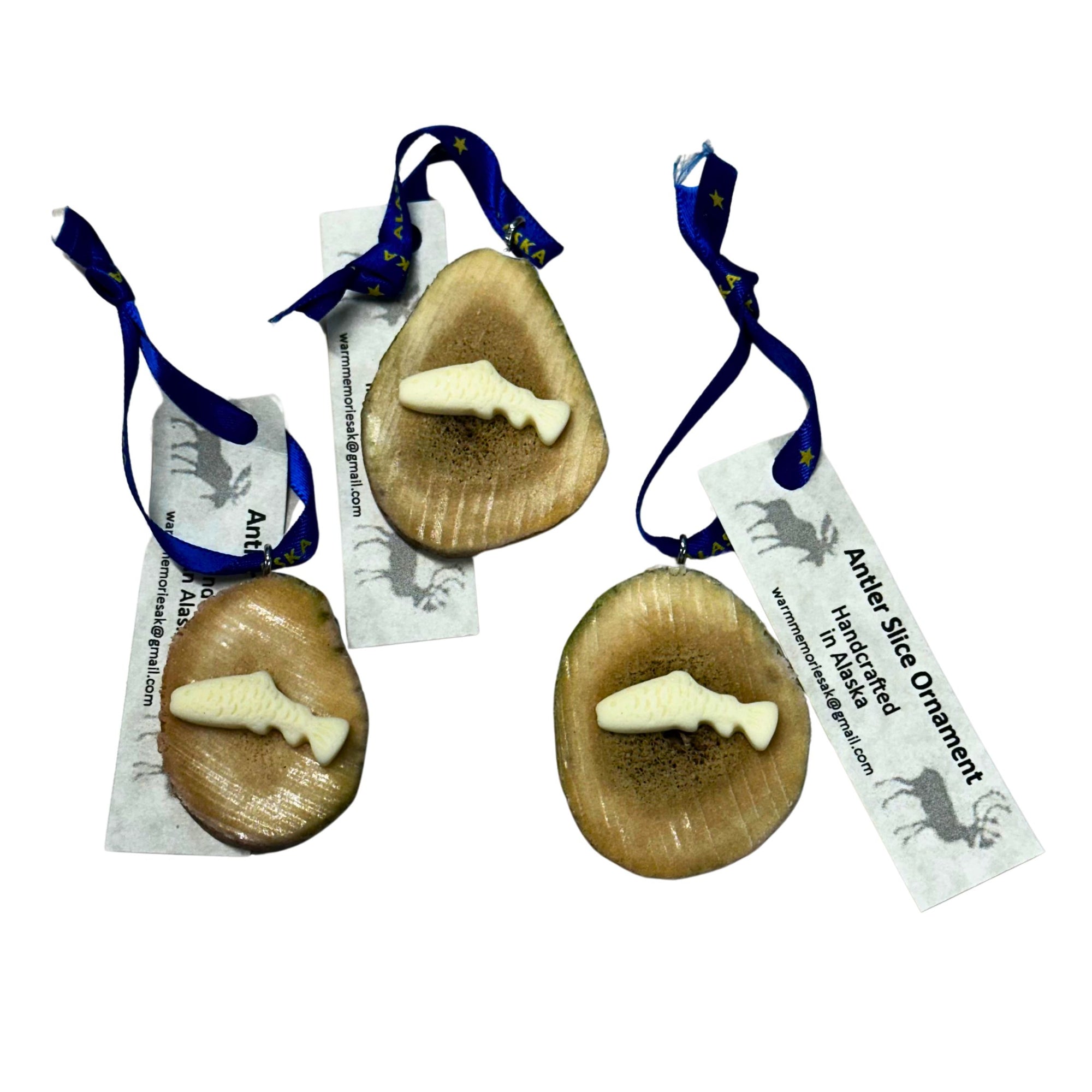 Fish Antler Slice Ornament With Ribbon