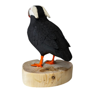 Tufted Puffin Wood Carving