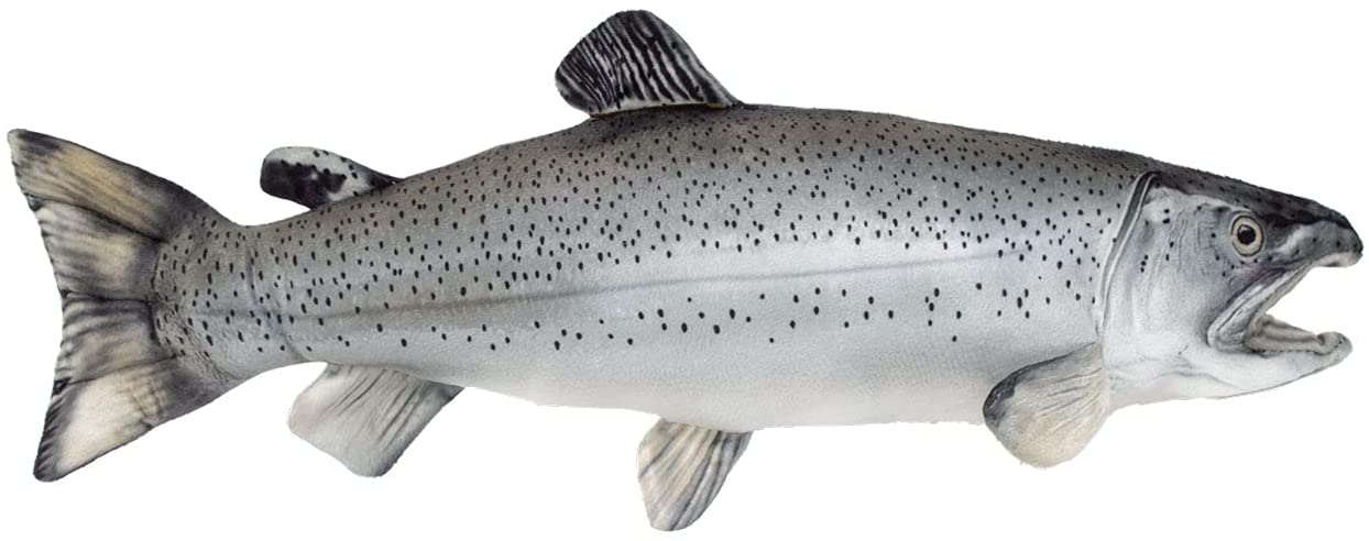 Wild Salmon Fishing Tee Men's -Image by Shutterstock White