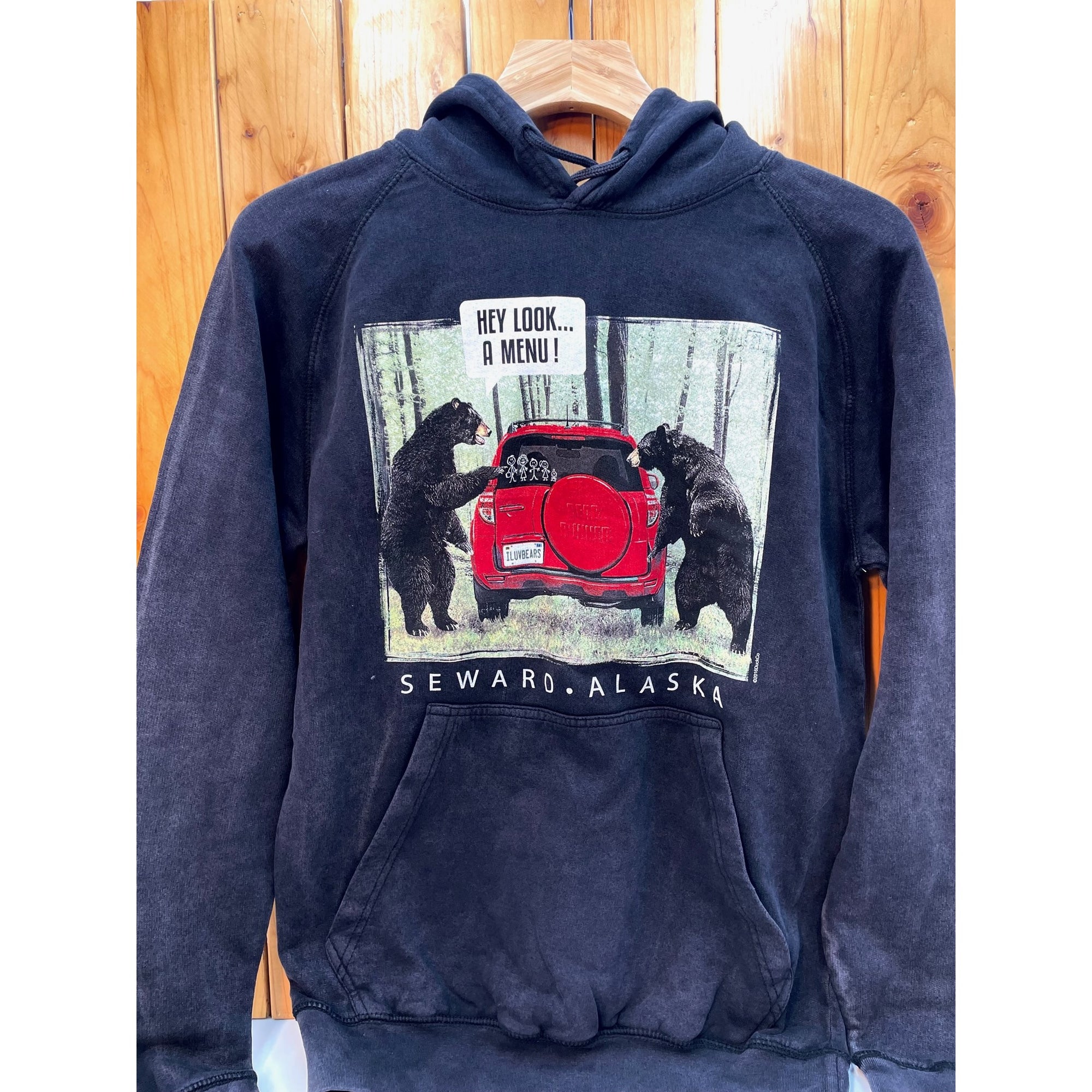 Houdini Snap-T Pullover - Mens - Forests, Tides, and Treasures